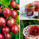 Смарагдове варення з агрусу з вишневим листям — делікатес для вибагливих