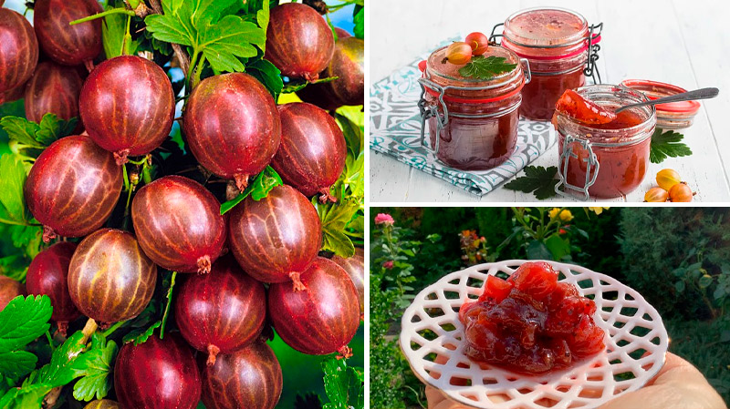 Смарагдове варення з агрусу з вишневим листям — делікатес для вибагливих