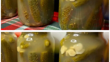 Квашені огірки, як із діжки: хрусткі, пахучі, улюблені з дитинства!