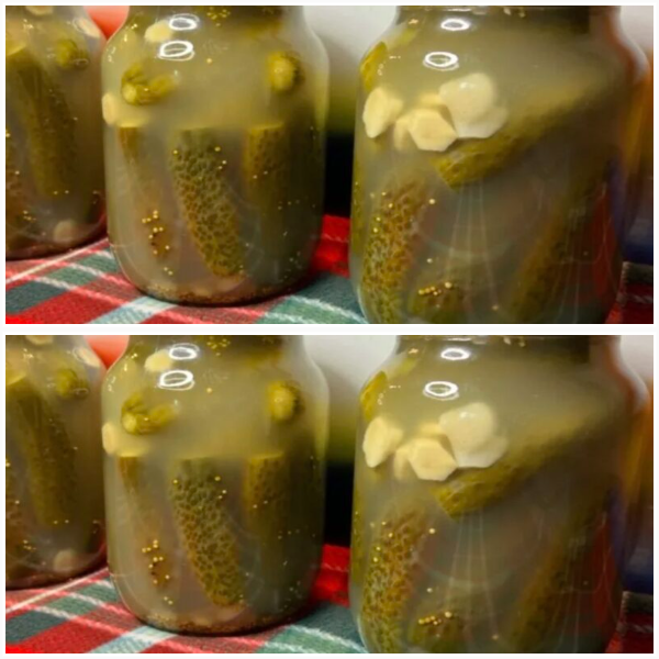 Квашені огірки, як із діжки: хрусткі, пахучі, улюблені з дитинства!