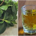Домашня настоянка на м’яті — ароматна класика у новому звучанні