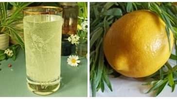 Чотири роки тому я вперше приготувала цей лимонад разом з дітьми під час святкування дня народження у «Новій школі». З того часу цей рецепт став справжнім хітом – мене постійно просять зробити саме цей напій! Особливо його люблять мої онуки – не тільки із задоволенням п’ють, а ще й допомагають у приготуванні. Напій виходить набагато смачнішим і кориснішим за магазинні лимонади, до того ж — він дуже бюджетний. З одного маленького лимона вагою близько 100 г і 200 г цукру ви отримаєте цілих 2 літри натурального лимонаду! 🧂 Інгредієнти: Лимон – 1 шт. (приблизно 100 г) Цукор – 200 г Газована мінеральна вода (нейтральна за смаком) – 1,5 л Звичайна питна вода – 400 мл 🍋 Приготування: Спершу охолодіть мінеральну воду в холодильнику. Акуратно зріжте з лимона тільки жовту цедру (без білої частини, яка може гірчити). Це краще зробити ножем, а не теркою. Цедру помістіть у каструлю, додайте цукор і 400 мл води. Доведіть до кипіння і варіть на слабкому вогні 15 хвилин. Вимкніть сироп і залиште його остигати. Тим часом вичавте сік з лимона й перелийте його у велику банку чи пляшку (2 л). Додайте проціджений сироп. Долийте охолоджену мінералку і щільно закрийте кришкою. ☘️ Порада: Можна урізноманітнити лимонад, додавши м’яту, листя смородини, тархун, мелісу, ягоди або приготувати варіації з апельсинами чи лаймом. Сироп із цедри можна зберігати в холодильнику. Навіть у базовому варіанті цей лимонад — справжнє літнє задоволення!