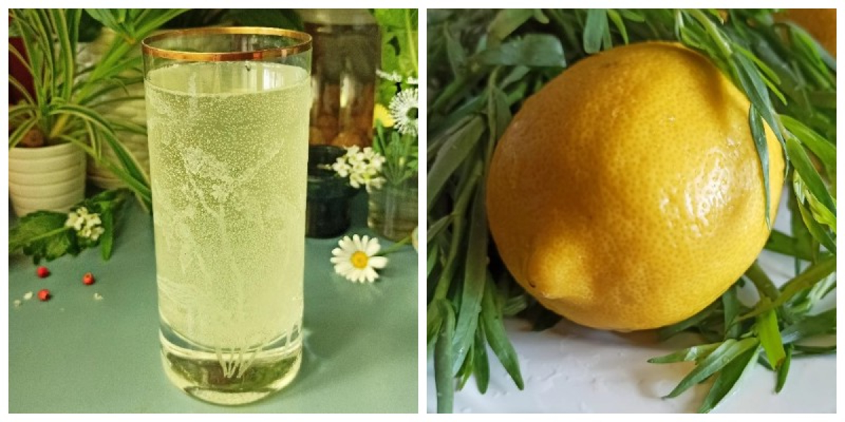 Чотири роки тому я вперше приготувала цей лимонад разом з дітьми під час святкування дня народження у «Новій школі». З того часу цей рецепт став справжнім хітом – мене постійно просять зробити саме цей напій! Особливо його люблять мої онуки – не тільки із задоволенням п’ють, а ще й допомагають у приготуванні. Напій виходить набагато смачнішим і кориснішим за магазинні лимонади, до того ж — він дуже бюджетний. З одного маленького лимона вагою близько 100 г і 200 г цукру ви отримаєте цілих 2 літри натурального лимонаду! 🧂 Інгредієнти: Лимон – 1 шт. (приблизно 100 г) Цукор – 200 г Газована мінеральна вода (нейтральна за смаком) – 1,5 л Звичайна питна вода – 400 мл 🍋 Приготування: Спершу охолодіть мінеральну воду в холодильнику. Акуратно зріжте з лимона тільки жовту цедру (без білої частини, яка може гірчити). Це краще зробити ножем, а не теркою. Цедру помістіть у каструлю, додайте цукор і 400 мл води. Доведіть до кипіння і варіть на слабкому вогні 15 хвилин. Вимкніть сироп і залиште його остигати. Тим часом вичавте сік з лимона й перелийте його у велику банку чи пляшку (2 л). Додайте проціджений сироп. Долийте охолоджену мінералку і щільно закрийте кришкою. ☘️ Порада: Можна урізноманітнити лимонад, додавши м’яту, листя смородини, тархун, мелісу, ягоди або приготувати варіації з апельсинами чи лаймом. Сироп із цедри можна зберігати в холодильнику. Навіть у базовому варіанті цей лимонад — справжнє літнє задоволення!