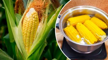 Як смачно зварити молоду кукурудзу: секрети ніжності та аромату