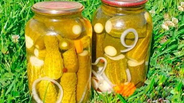 Мариновані огірочки «по-болгарськи» — моя перевірена класика вже понад 10 років!