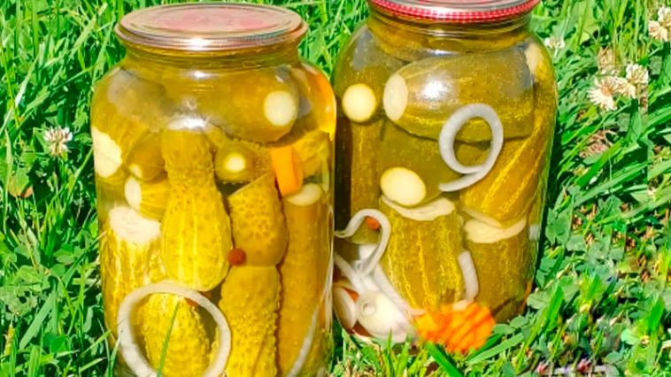 Мариновані огірочки «по-болгарськи» — моя перевірена класика вже понад 10 років!