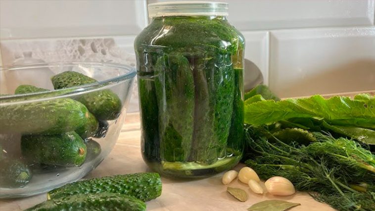 Квашені огірки — перевірений рецепт, який не підводить уже понад десятиліття!
