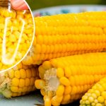 Консервована кукурудза на зиму – як свіжа! Зберігайте рецепт!