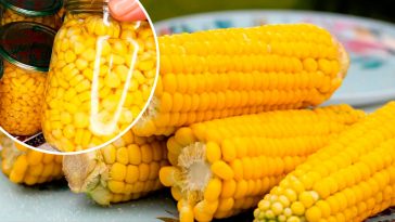 Консервована кукурудза на зиму – як свіжа! Зберігайте рецепт!
