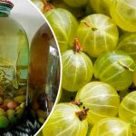 Компот із аґрусу з м’ятою на зиму — освіжаюча заготівля, що здивує смаком!