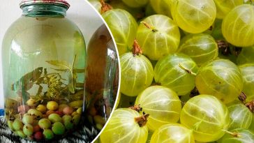 Компот із аґрусу з м’ятою на зиму — освіжаюча заготівля, що здивує смаком!