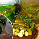 Перевірений роками рецепт хрустких квашених огірків – понад 10 років без поразок!