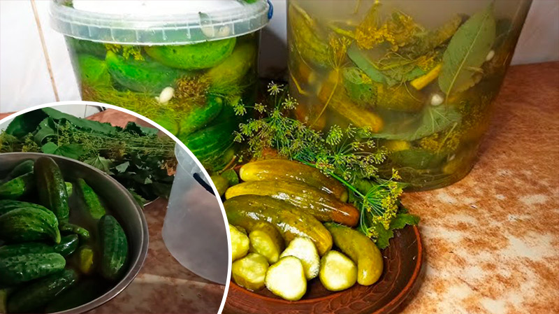 Перевірений роками рецепт хрустких квашених огірків – понад 10 років без поразок!