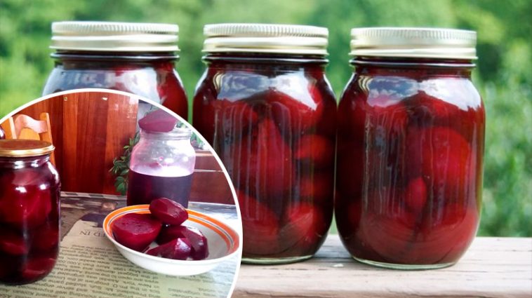 Консервований буряк цілком на зиму — просто, швидко і дуже зручно!