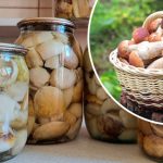 Смачнющі мариновані білі гриби на зиму — перевірений рецепт, яким користуюсь десятиліттями.
