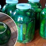 Як у діда! Огірки без оцту, без стерилізації — холодний метод під капронову кришку