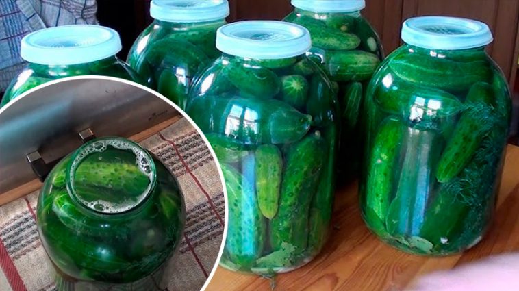 Як у діда! Огірки без оцту, без стерилізації — холодний метод під капронову кришку