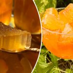 Такого ви точно ще не куштували! Казкове варення з кавунових кірок — як прозорий бурштин у банці!