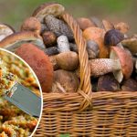 Грибна ікра на зиму — смачно, просто й безвідмовно. Рецепт, який передають з рук у руки