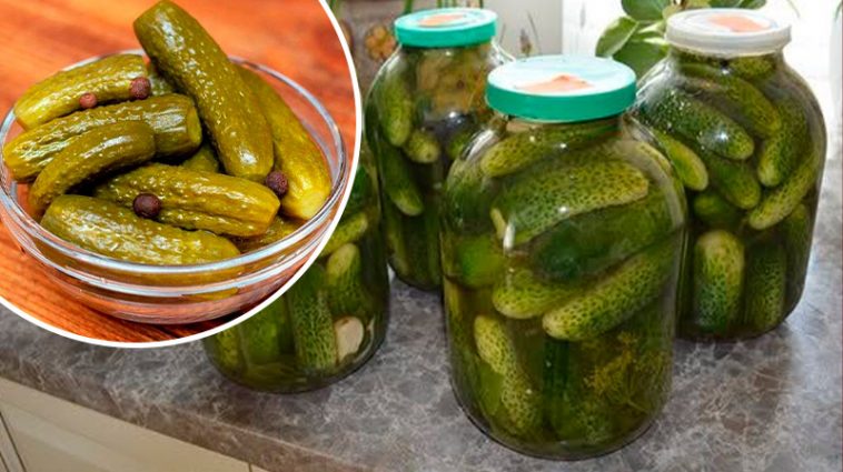 Смак бочки у банці! Квашені огірки з горілкою гарячим способом у 3-літрових банках