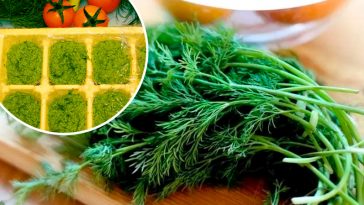 Ароматний соус із кропу на зиму — краще за “Песто”!