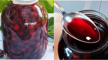 Домашня вишнева наливка на горілці — аромат літа у кожній краплині!