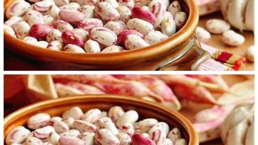 Як швидко зварити квасолю без замочування: три перевірені способи