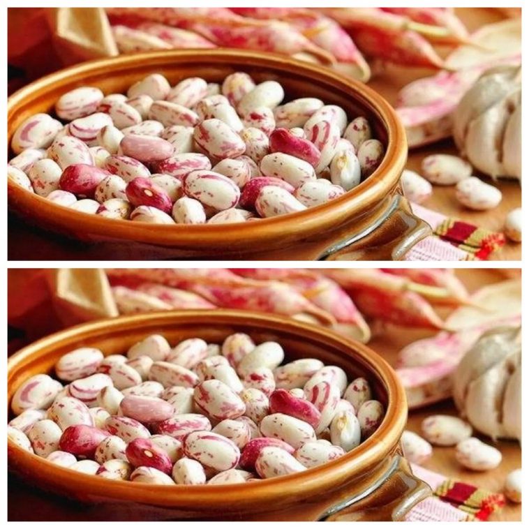 Як швидко зварити квасолю без замочування: три перевірені способи