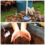 Не палiть опале листя — приготуйте з нього безкоштовний ґрунтовий кондиціонер!