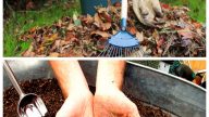 Не палiть опале листя — приготуйте з нього безкоштовний ґрунтовий кондиціонер!