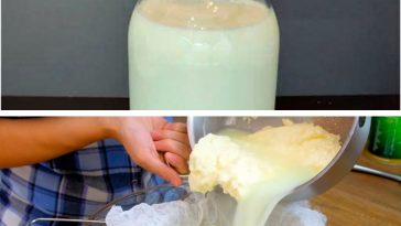 Домашній твердий сир з молока та сметани – без консервантів