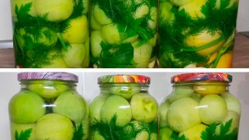 Консервовані зелені помідори на зиму — ароматна закуска для холодних вечорів