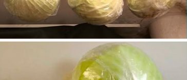 Як правильно зберігати капусту, щоб вона залишалася свіжою до весни