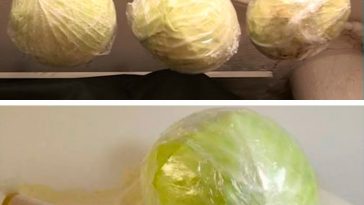 Як правильно зберігати капусту, щоб вона залишалася свіжою до весни