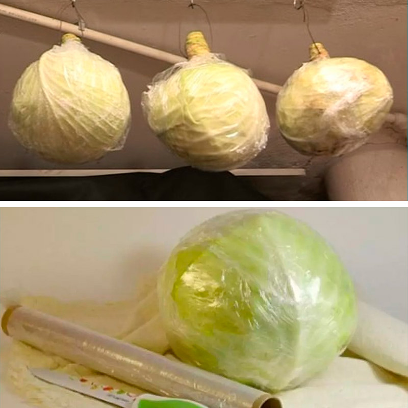 Як правильно зберігати капусту, щоб вона залишалася свіжою до весни