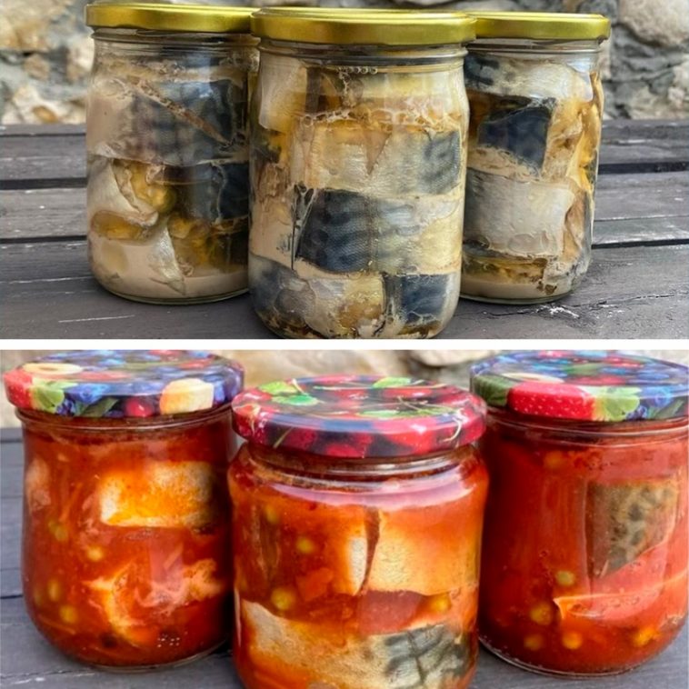 Два неймовірних способи приготування скумбрії в домашніх умовах: у томатному соусі з овочами та в олії