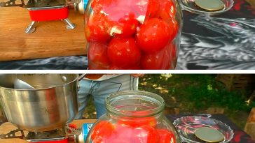 Квашені помідори без оцту на зиму – бабусин рецепт, як бочкові!