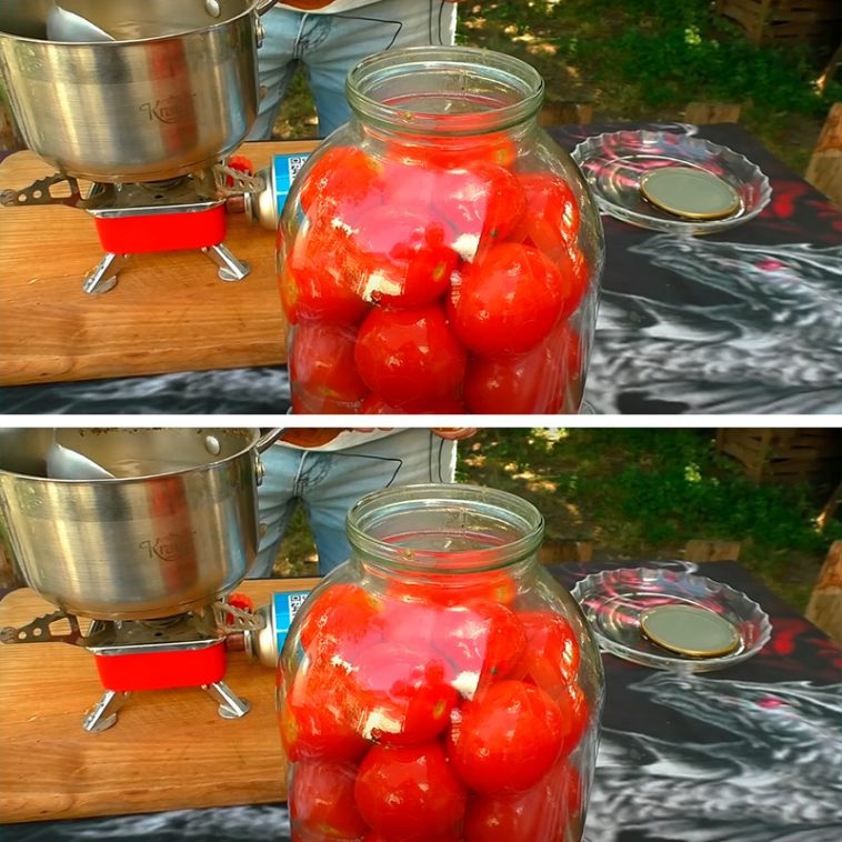 Квашені помідори без оцту на зиму – бабусин рецепт, як бочкові!