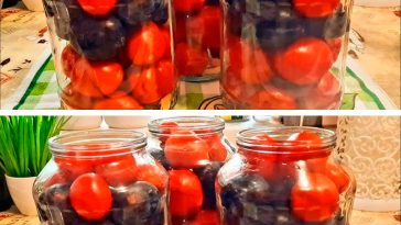Неймовірно смачні мариновані помідори зі сливами — незвична консервація, яка підкорить з першої ложки