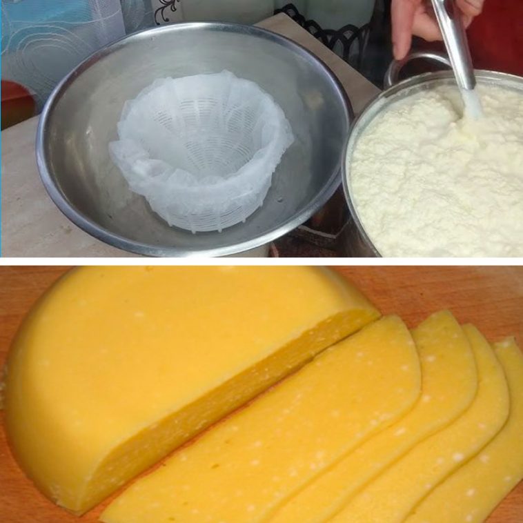 Домашній сир за старовинним рецептом моєї бабусі: ніжний, ароматний і надзвичайно смачний