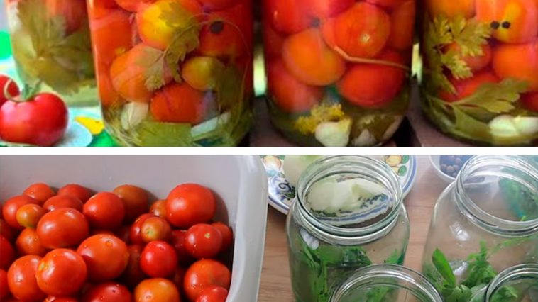 Помідори «Господинька» — справжній скарб на зиму