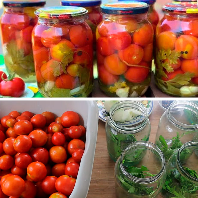 Помідори «Господинька» — справжній скарб на зиму