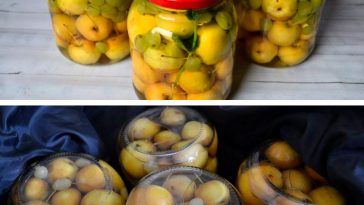 Яблука з виноградом і м’ятою в сиропі – ароматна заготовка на зиму