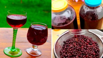 Смачніша за дороге вино! Домашня настоянка зі смородини – гість без пляшечки не піде!