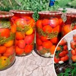 Помідори з морквяним бадиллям на зиму – ароматний секрет домашніх заготовок