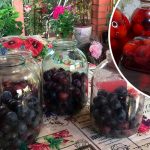 Компот зі сливи з насиченим смаком і рубіновим кольором