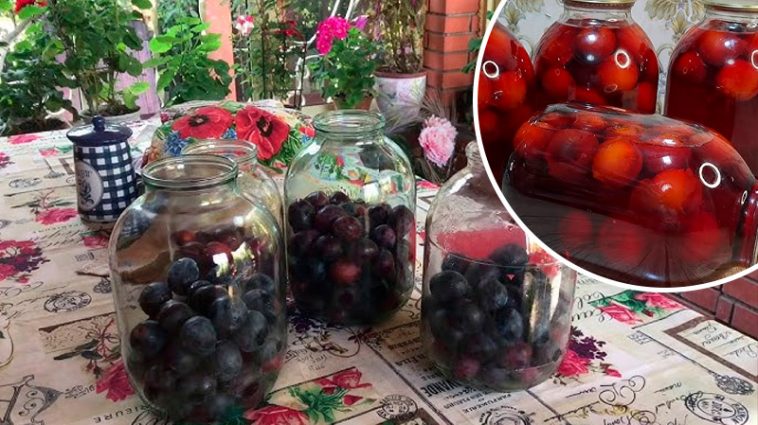 Компот зі сливи з насиченим смаком і рубіновим кольором