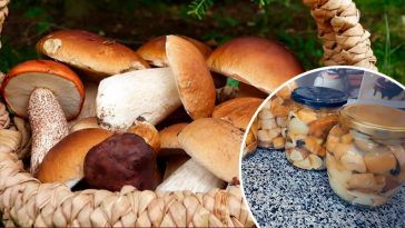 Універсальний маринад для грибів — рецепт, перевірений роками