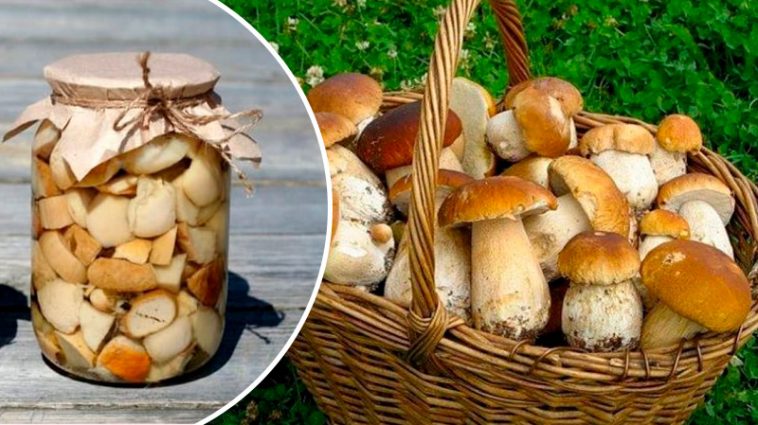 Улюблений рецепт вже 15 років! Мариновані білі гриби на зиму — смакота, яку всі чекають