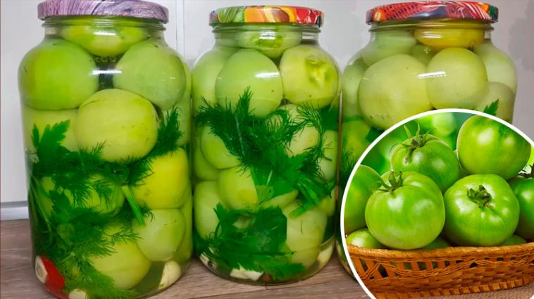 Осінній хіт — хрусткі зелені помідорчики “Зимовий бум”